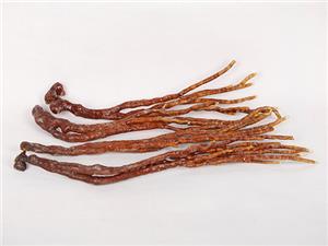 【源宇生物科技】破壁靈芝孢子粉每天應(yīng)該什么時(shí)間服用？