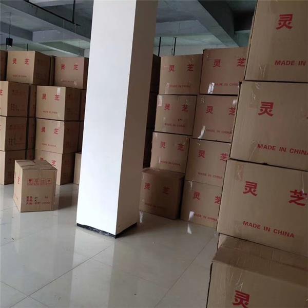 裝箱靈芝